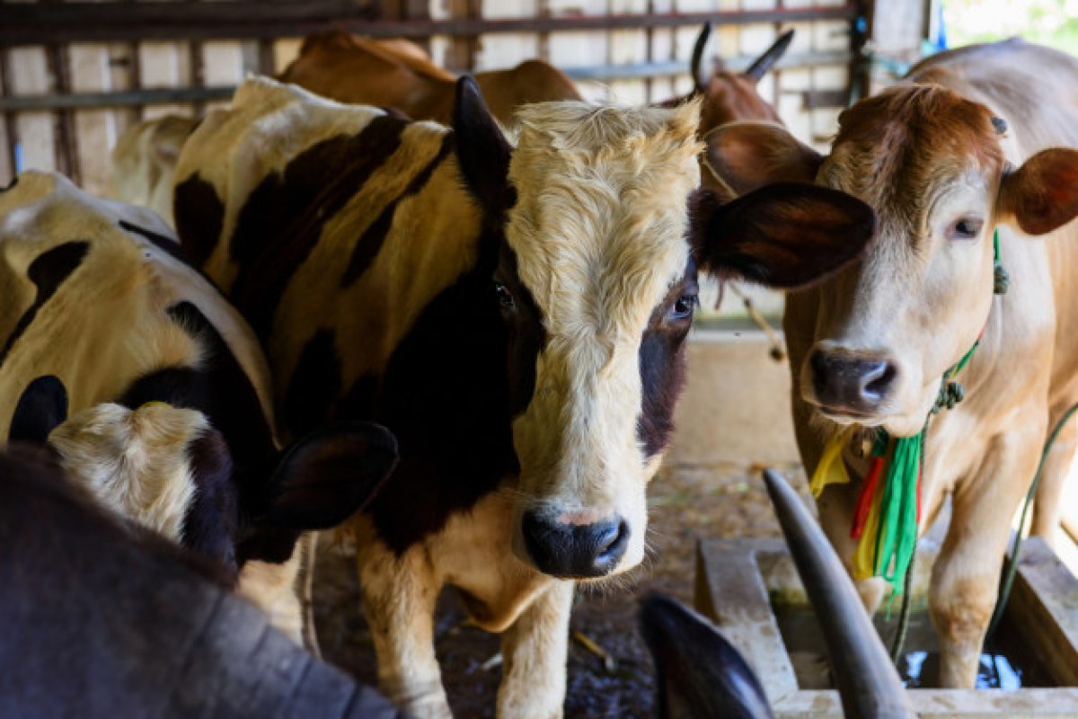 Exposição agropecuária em Feira de Santana deve movimentar mais de R$ 8 milhões
