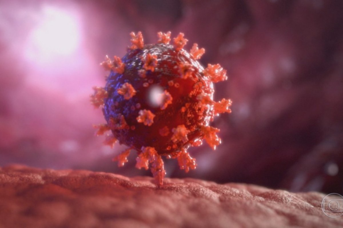 Variante brasileira do coronavírus é a 2ª mais detectada nos EUA