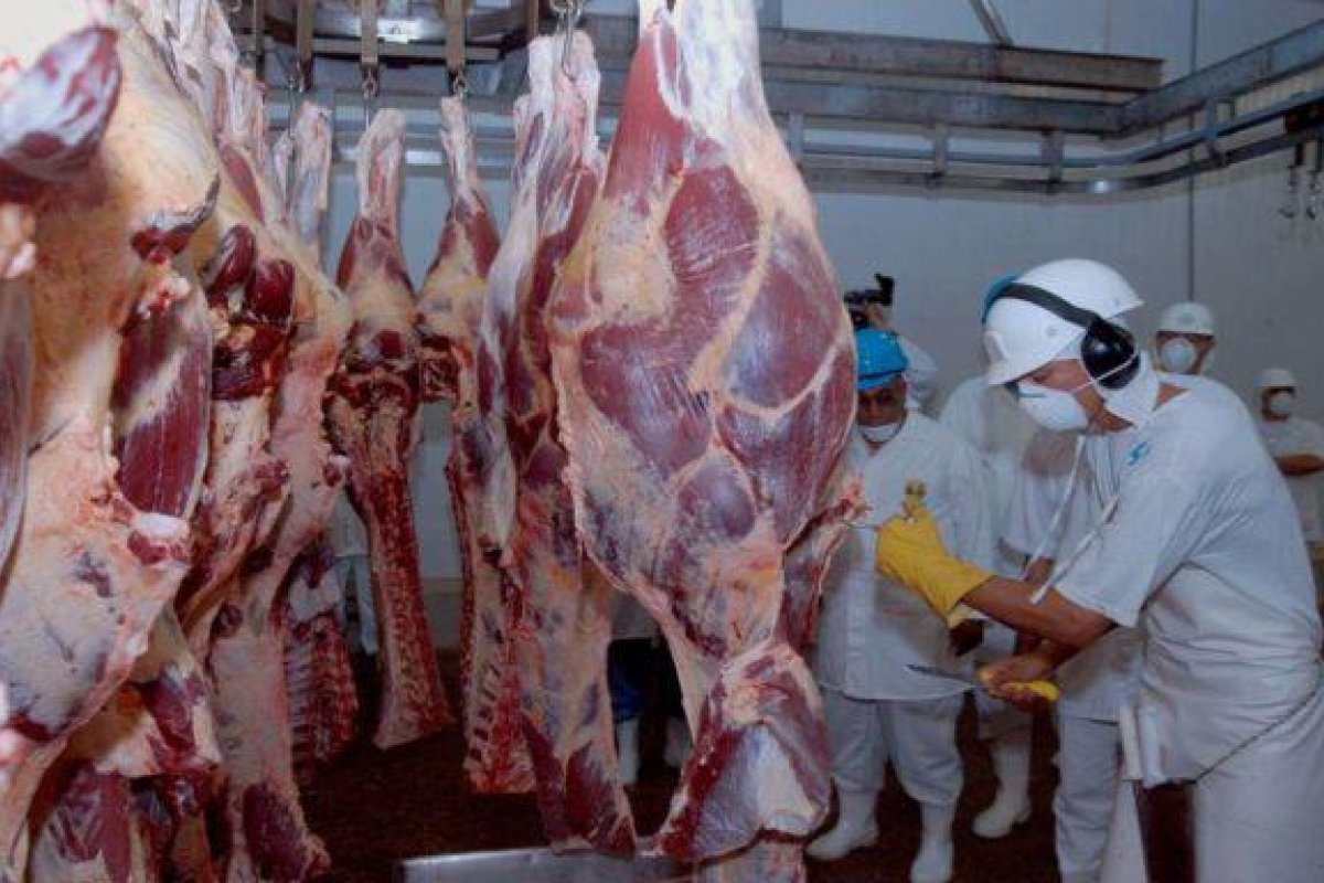 Frigoríficos suspendem abates e processamento de carne por causa da queda na renda dos brasileiros