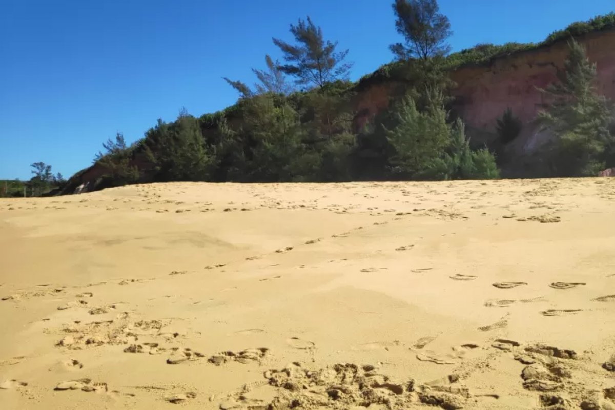 Turistas cai de uma altura de seis metros ao tentar defender o filho