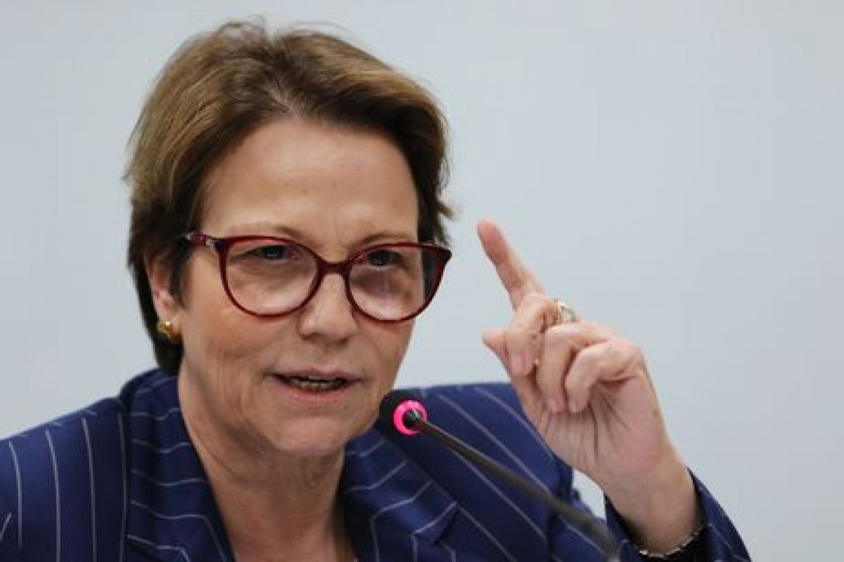 Ministra da Agricultura afirma que "Setor de couros do Brasil é sustentável"