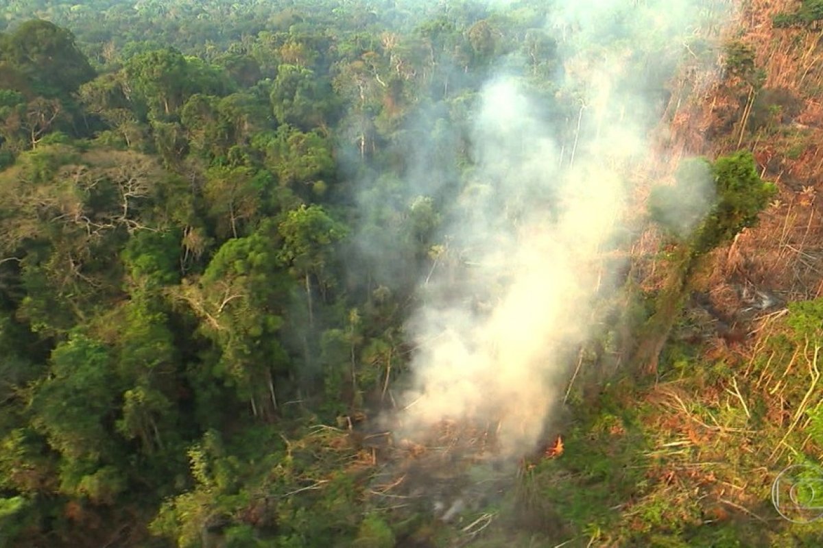 Jovens processam governo por 'pedalada' climática e pedem anulação de meta no Acordo de Paris