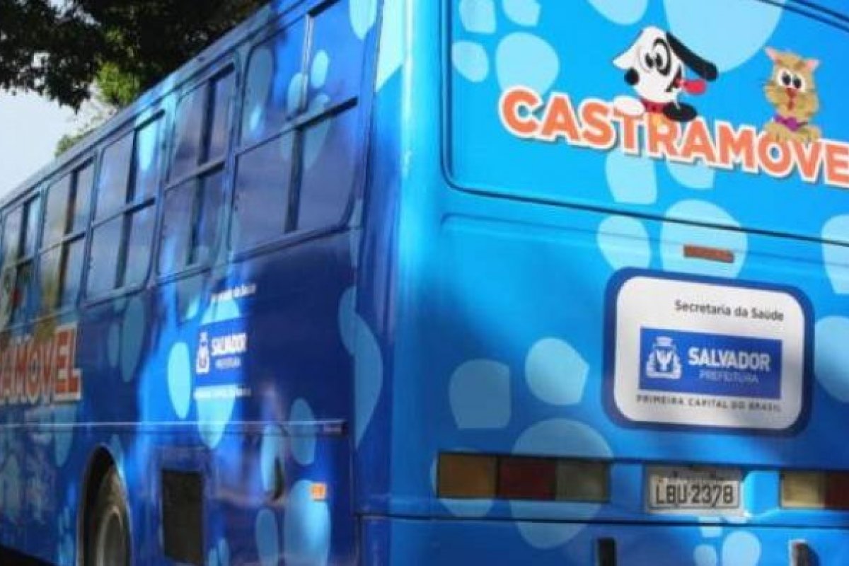 Castramóvel em Piatã passa a oferecer vacina antirrábica
