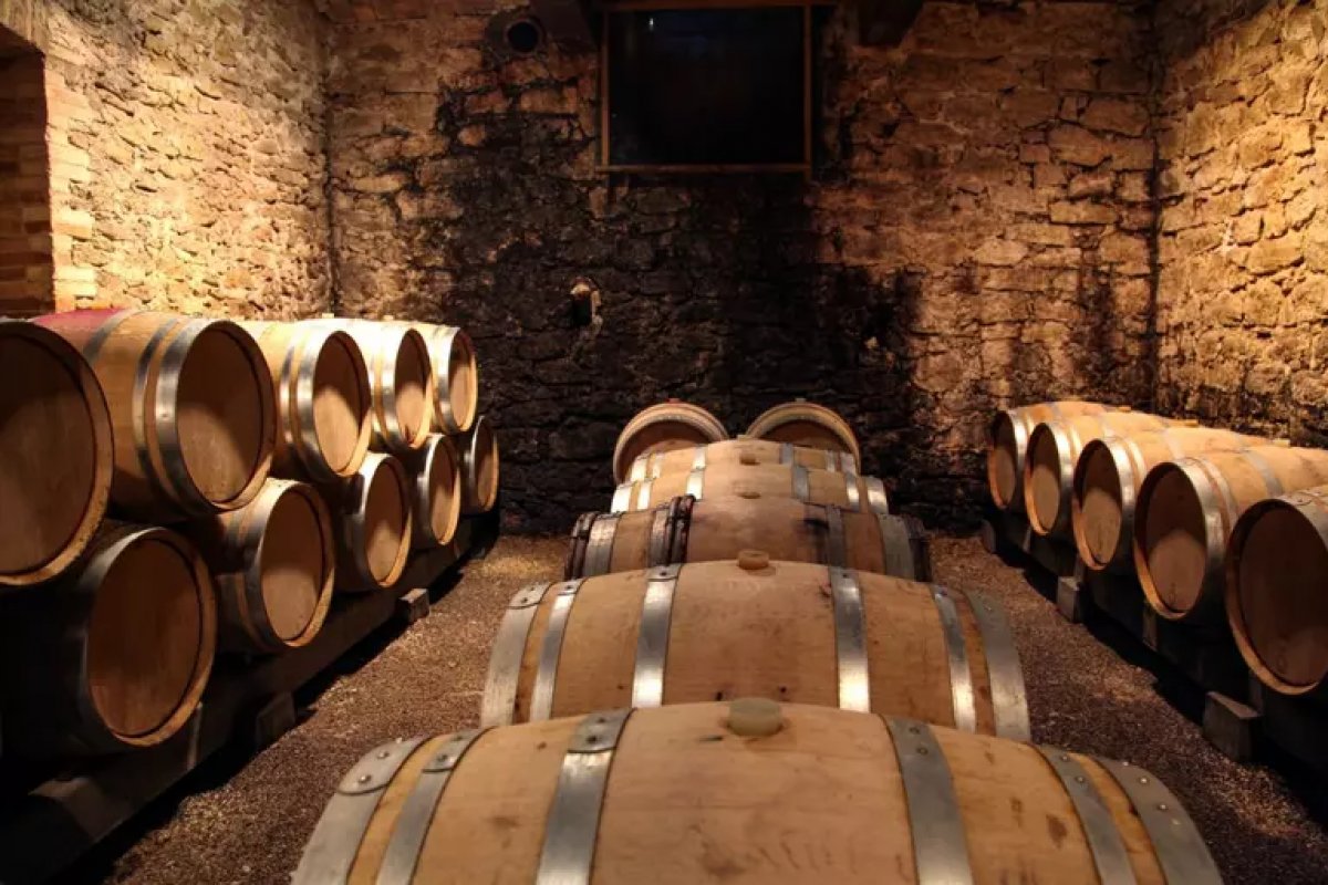 Produtores de vinho da França enfrentam pior devastação climática em 30 anos