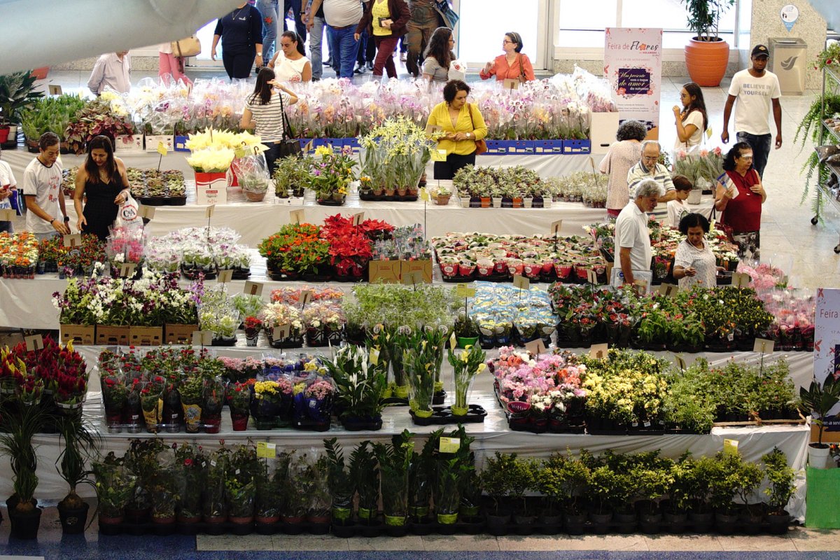 Salvador recebe feira das flores na próxima semana
