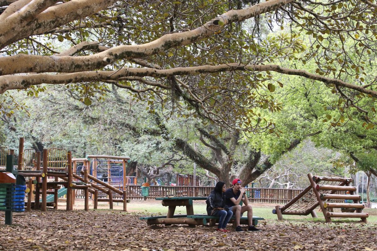 Prefeitura de São Paulo aprova lei que proíbe fumo em parques públicos da cidade