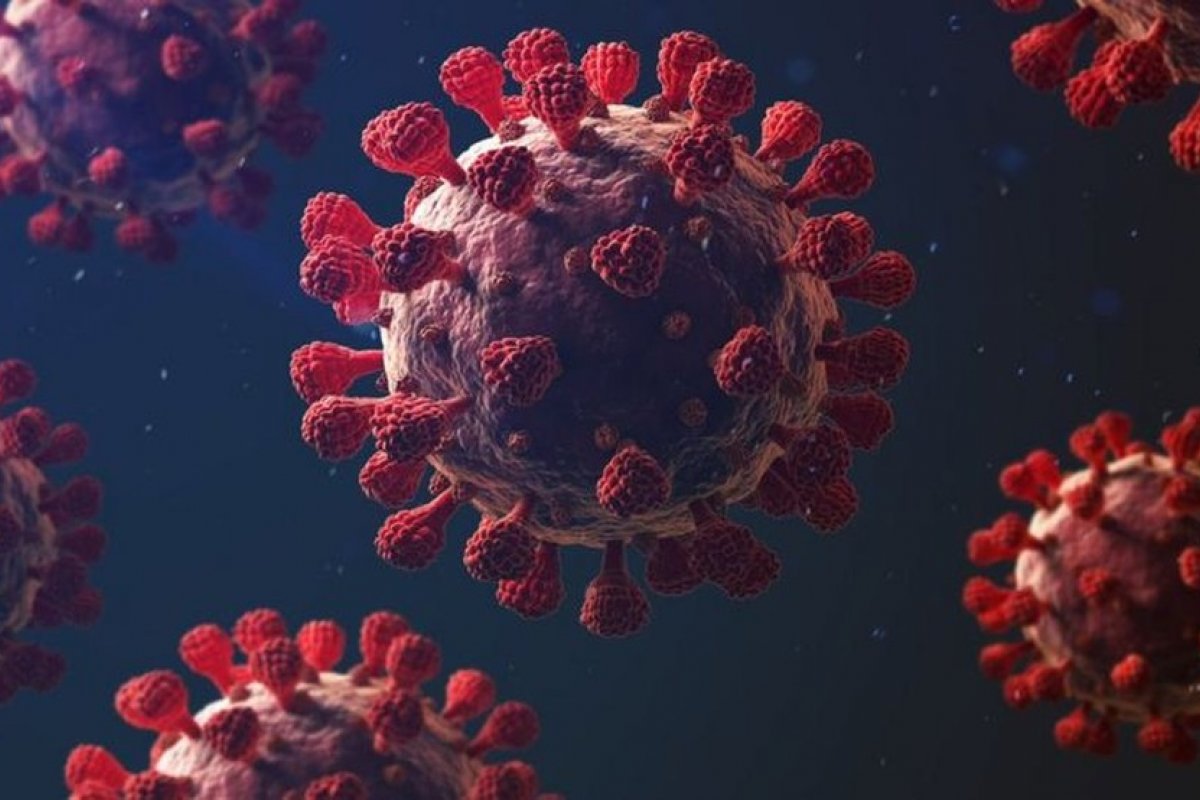 Covid-19: Brasil se aproxima de 14 milhões de infectados