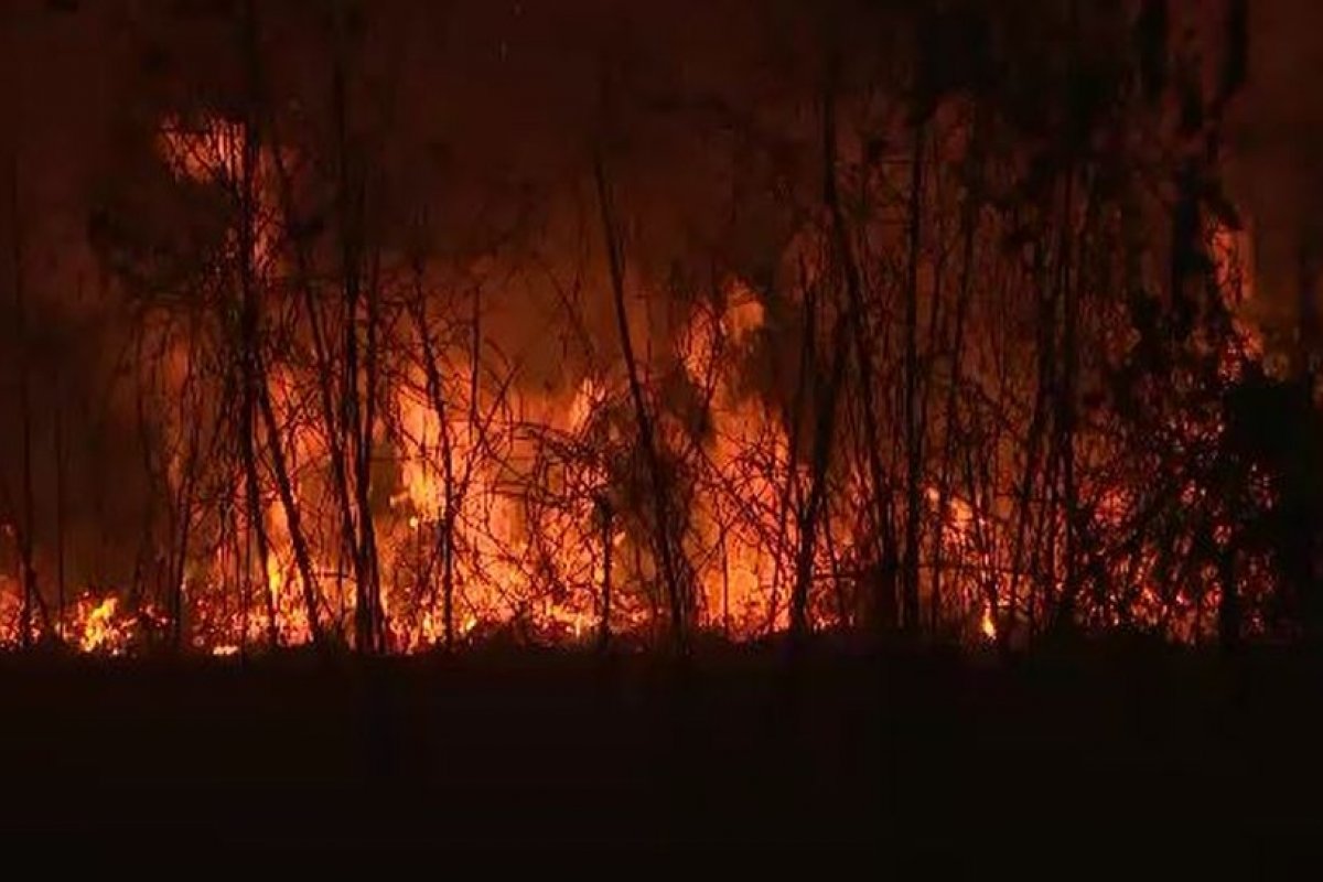 Governo Federal altera decreto e permite queimadas em regiões fora da Amazônia Legal