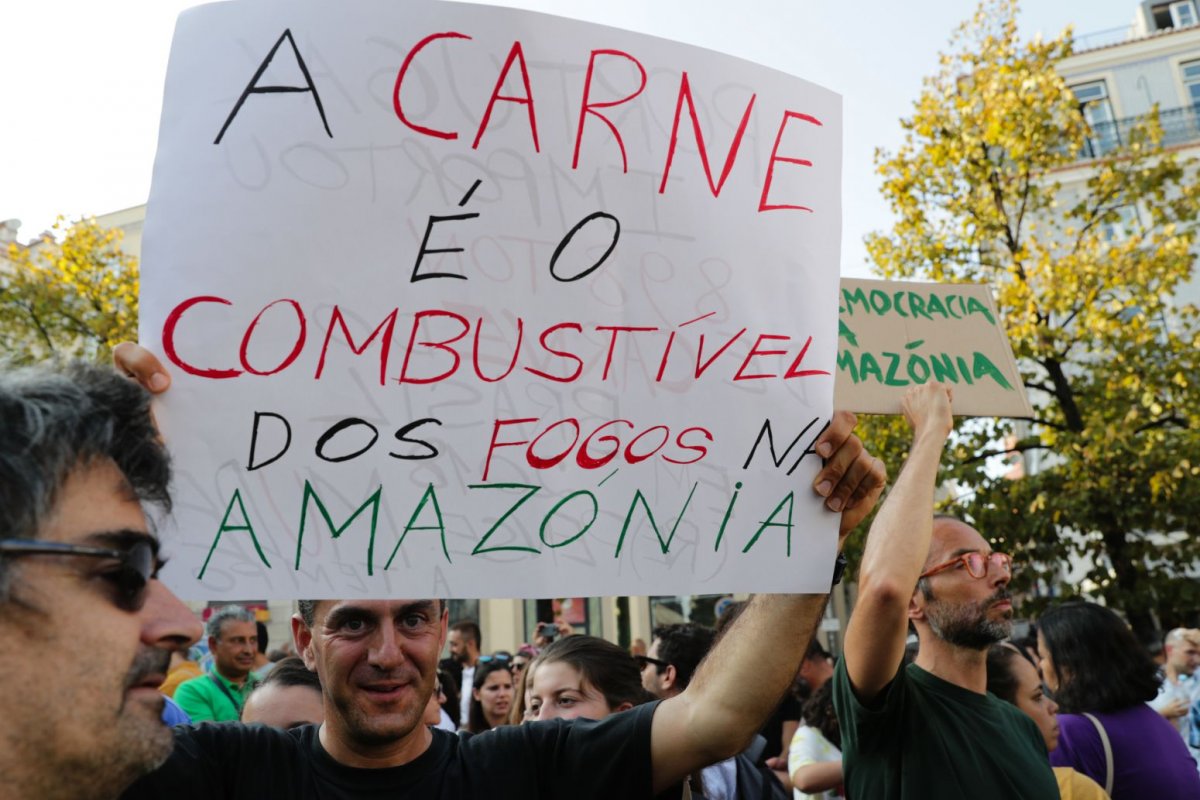 Greenpeace pede boicote comercial a produtos fruto do desmatamento na Amazônia