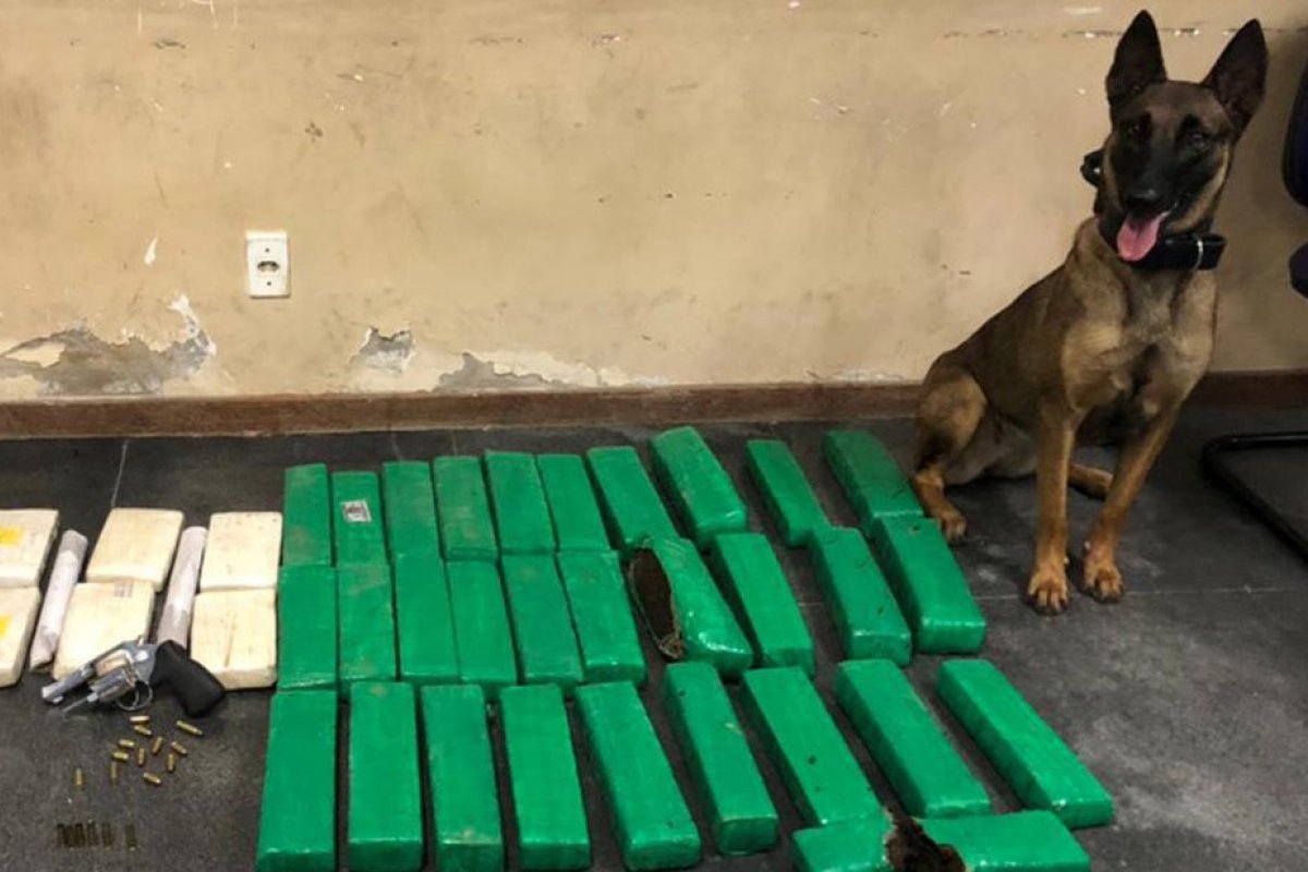 Suspeito de tráfico é morto em troca de tiros com PM's em Feira de Santana