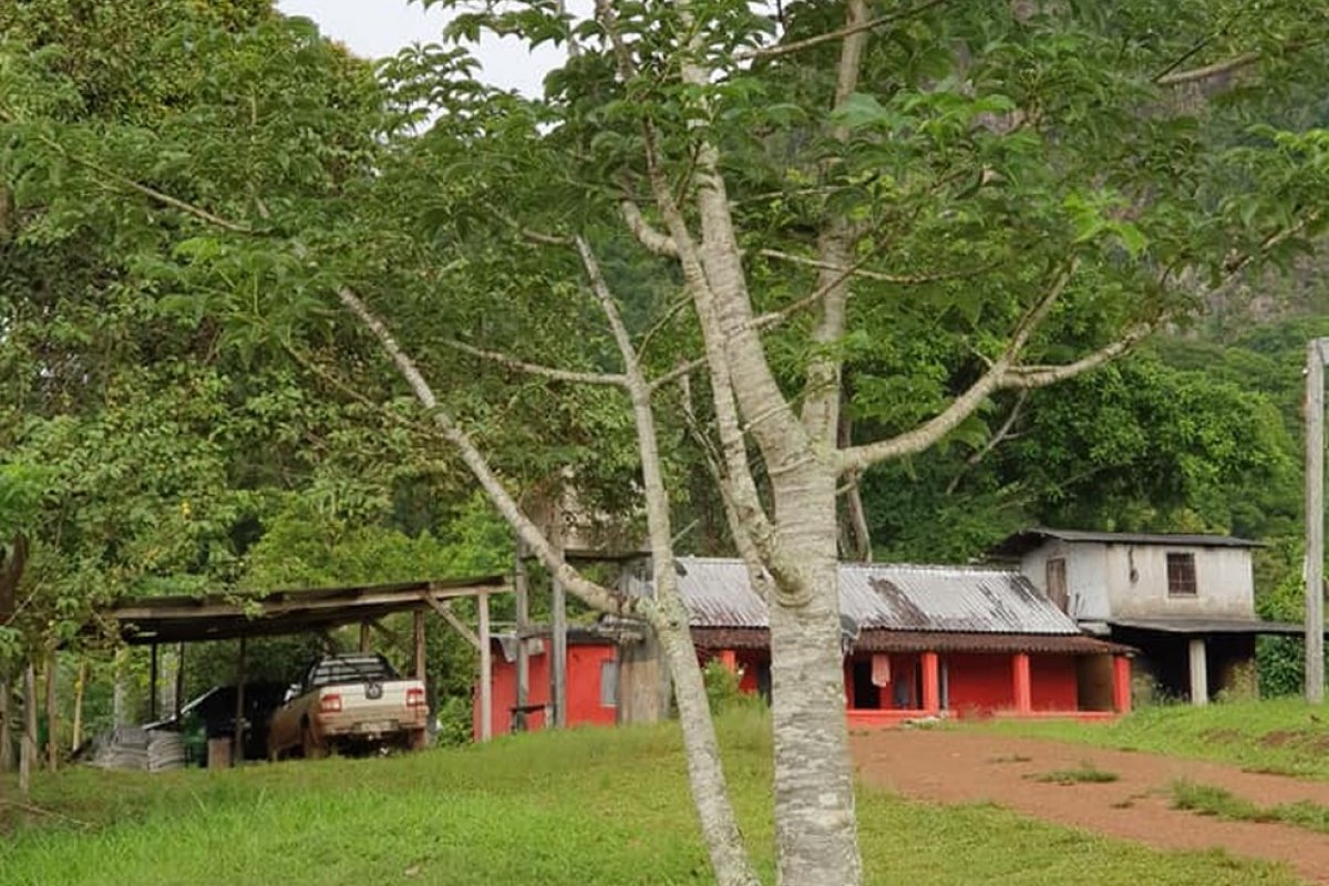 DPU pede ao STF suspensão da reintegração de posse em área indígena da Bahia