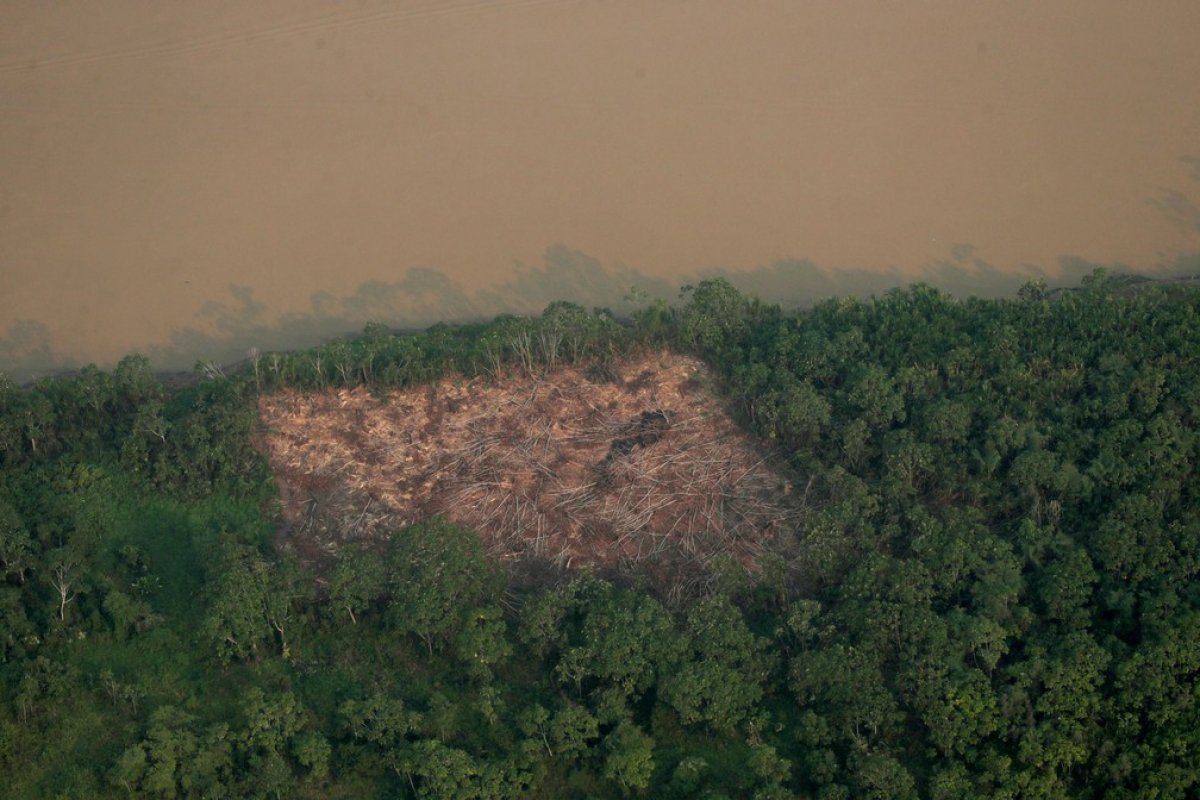 Aumento dos níveis de CO2 pode reduzir em 12% volume de vapor d’água em 9 países da Amazônia