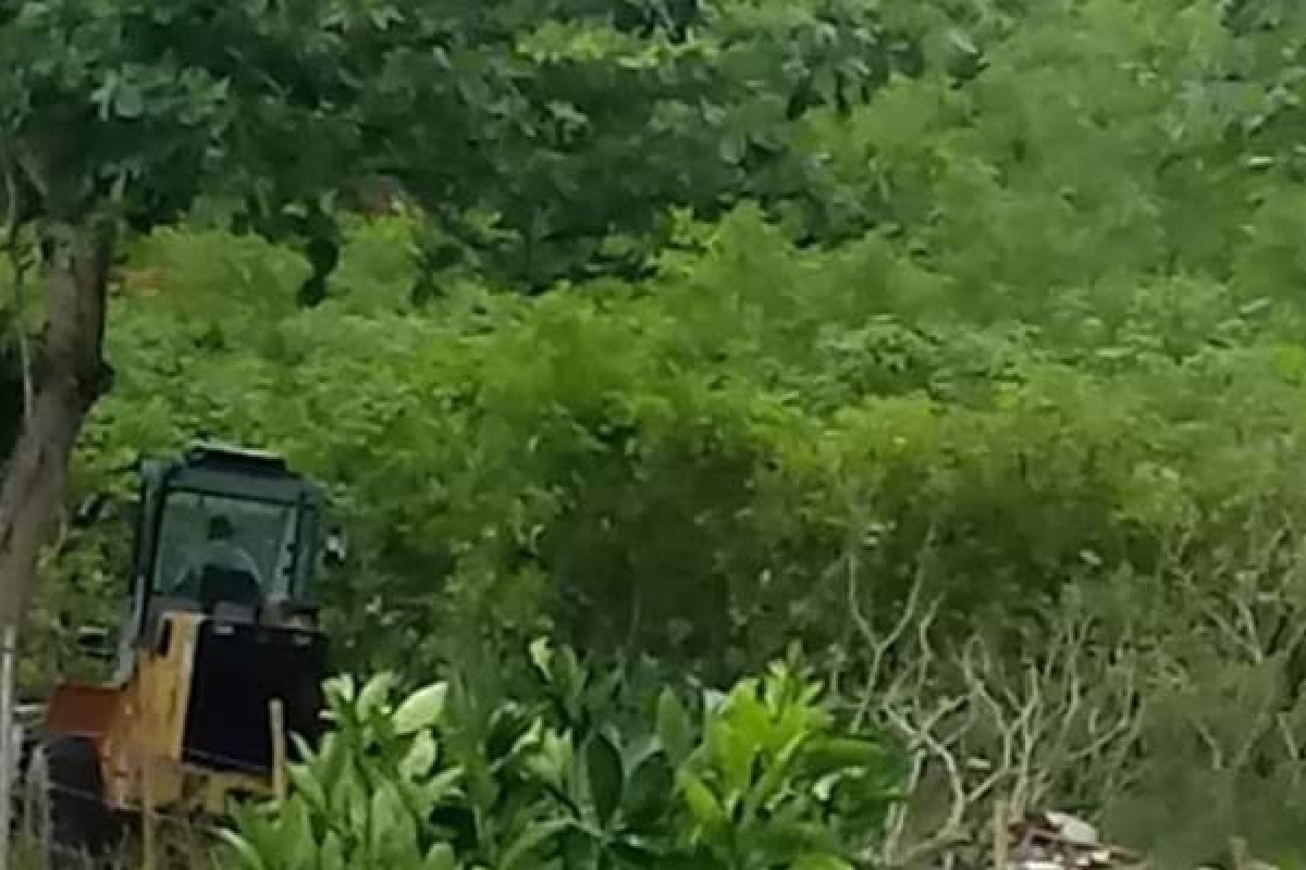 Moradores de Dias d'Ávila denunciam invasões de terras em área de preservação