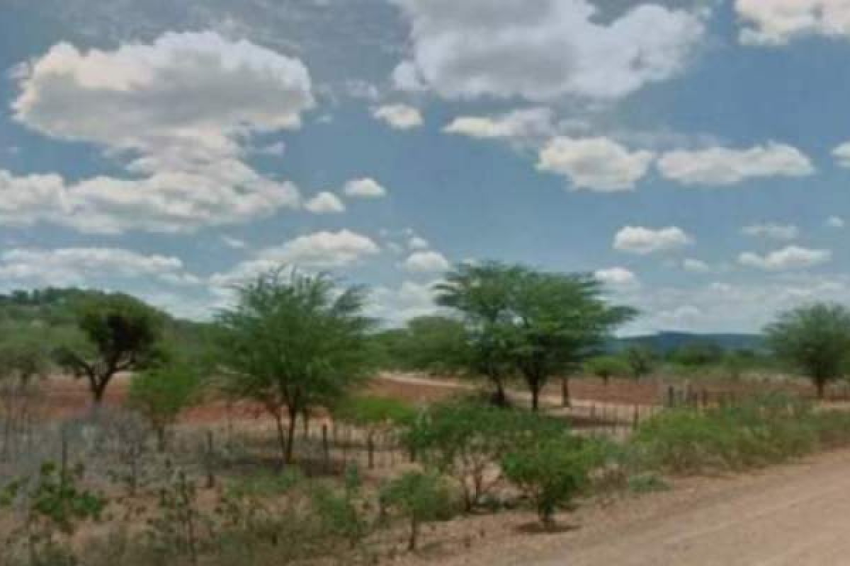 Bahia reconhece situação de emergência em cinco municípios por estiagem