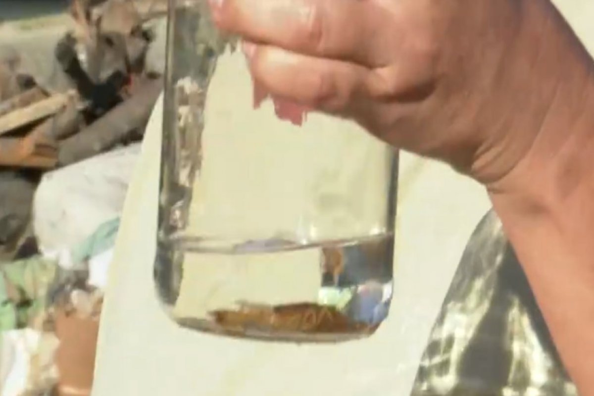 Moradores do bairro Dinah Borges, em Eunapolís, relatam medo com escorpiões encontrados em imóveis