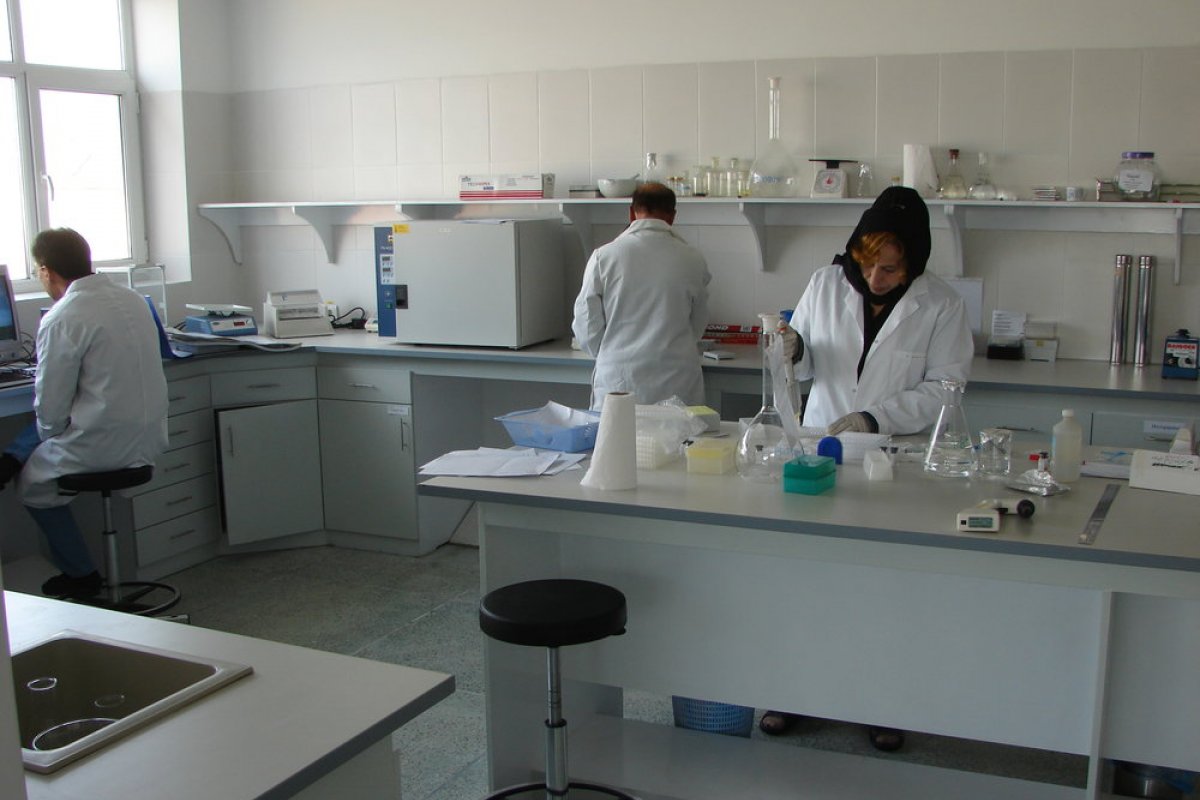 Senado aprova projeto que permite produção de vacinas da Covid em laboratórios veterinários