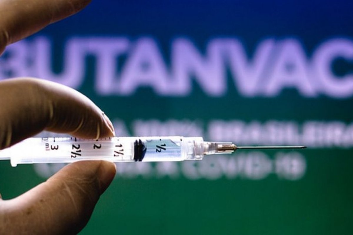 Instituto Butantan vai começar produção da Butanvac