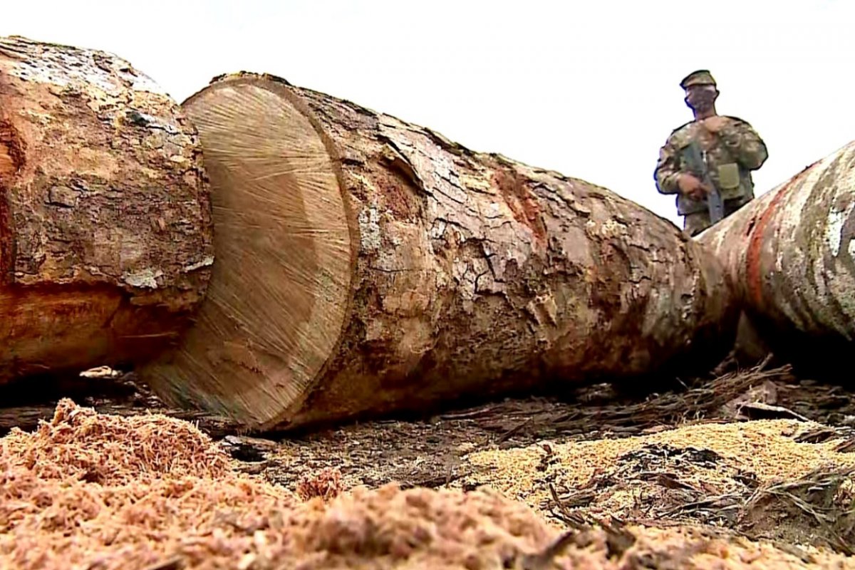 Forças Armadas na Amazônia
