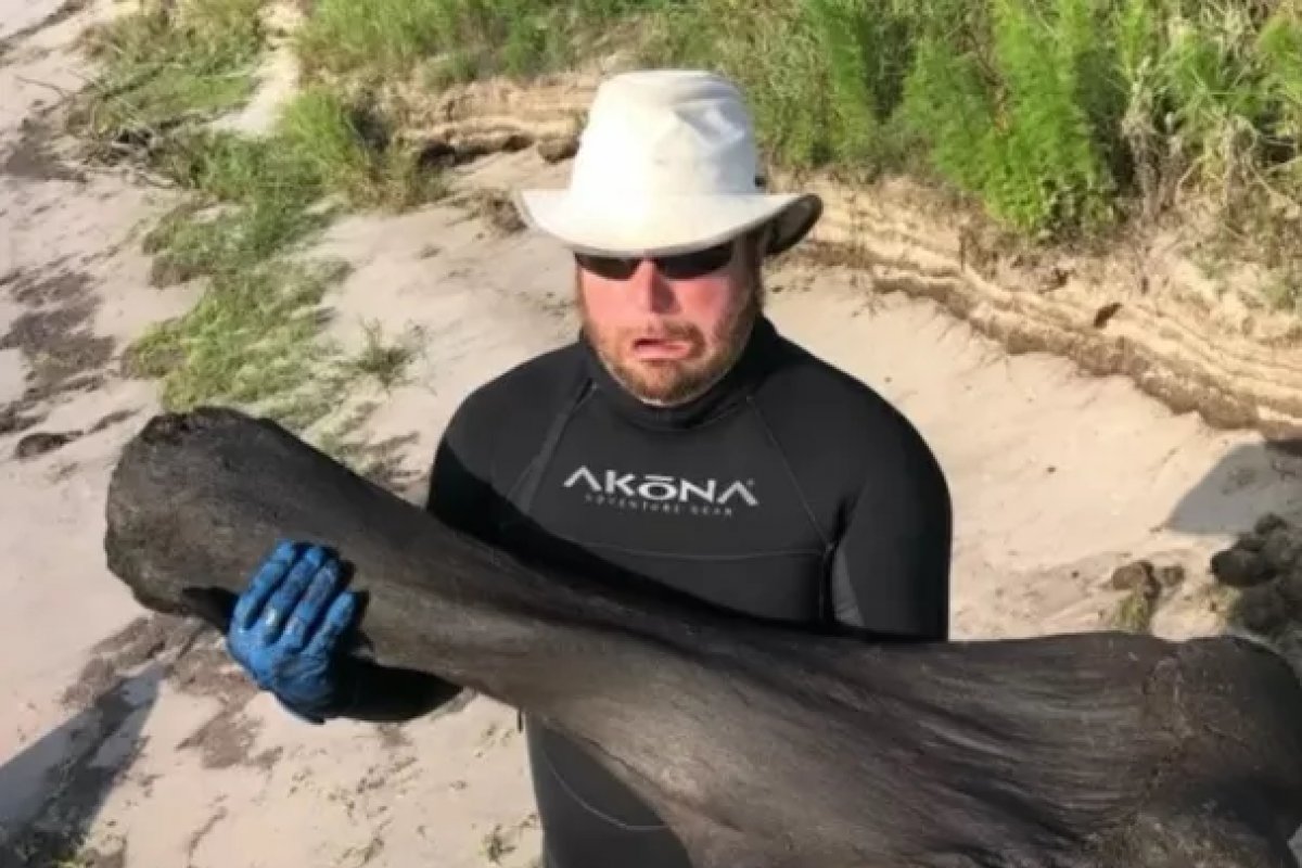 Mergulhadores acham osso de mamute de 100 mil anos em rio