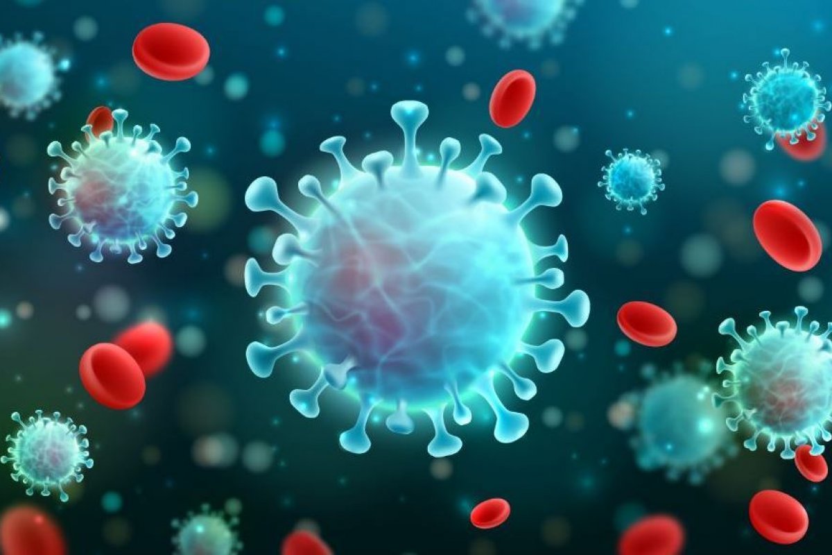 Estudo indica pacientes que tiveram casos graves de Covid ainda têm anticorpos um ano depois da infecção