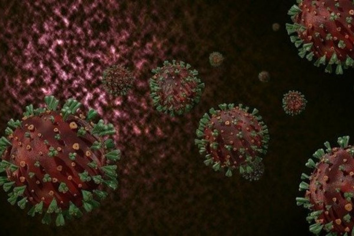 Estudo canadense revela proteína capaz de impedir a infecção pela Covid-19