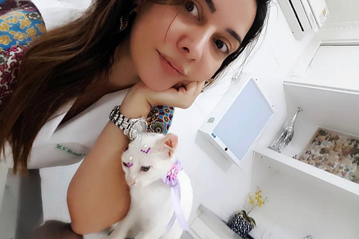 Mito ou verdade: Gatos podem tomar leite?