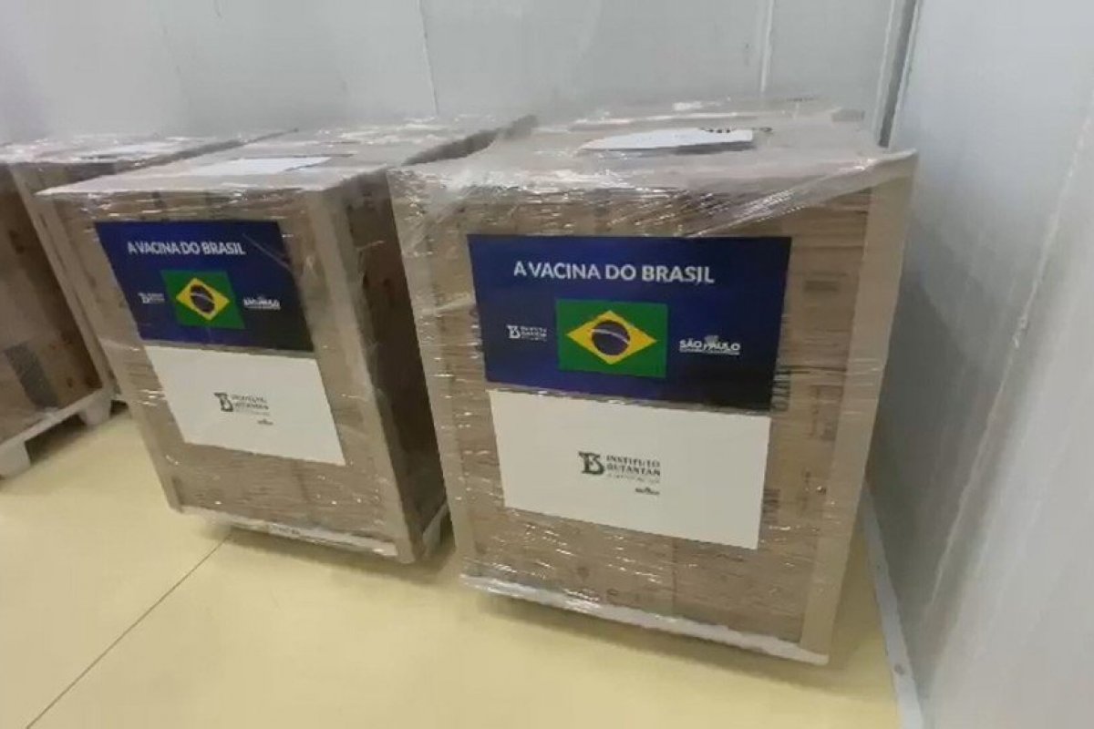Butantan entrega lote com 1 milhão de doses da CoronaVac ao Ministério da Saúde nesta quinta-feira (6)