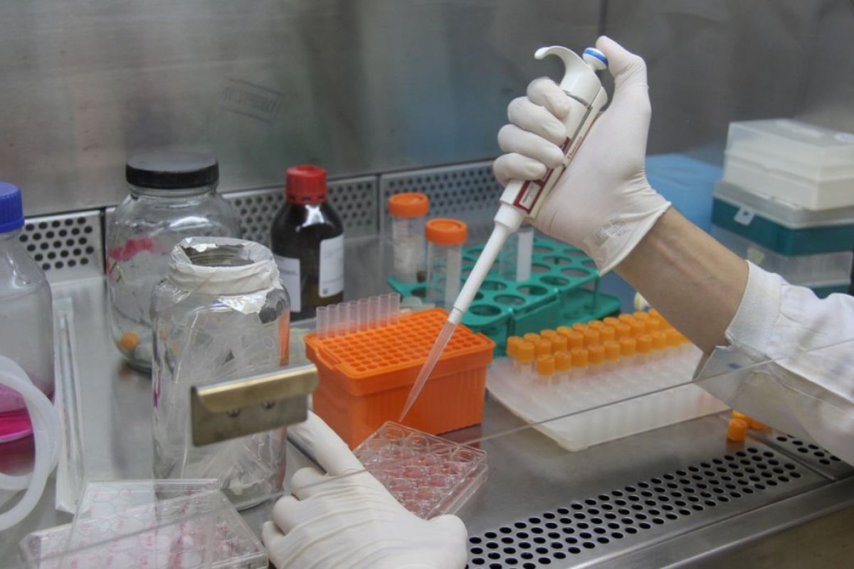 Governo do RJ identifica circulação de nova mutação no estado