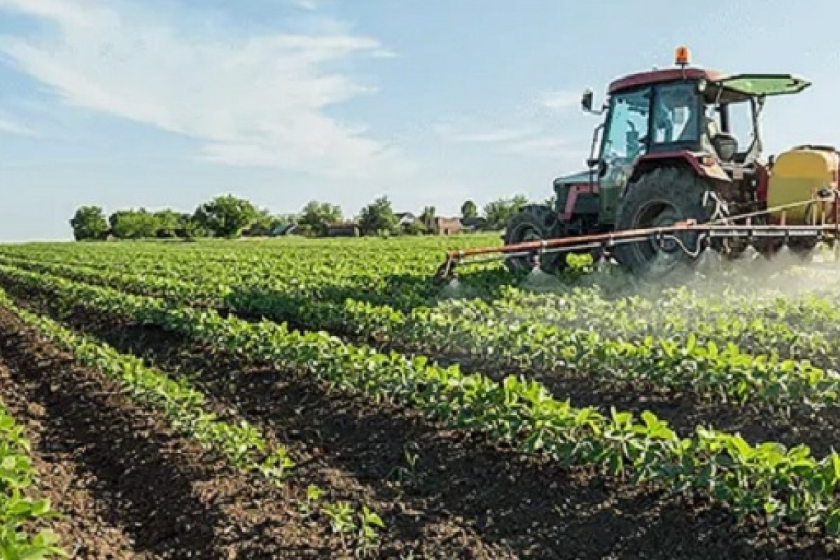 Crédito rural sobe 12% e atinge R$ 201 bilhões em dez meses