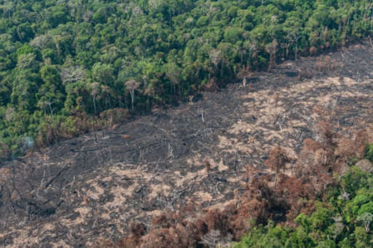 Inpe revela que desmatamento na Amazônia em abril foi o pior da série histórica