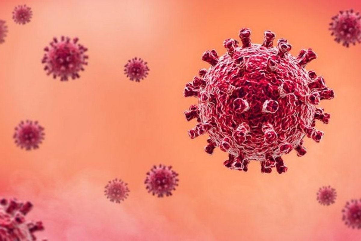 Covid-19: Pesquisa revela motivo de pacientes testarem positivo para doença após recuperação