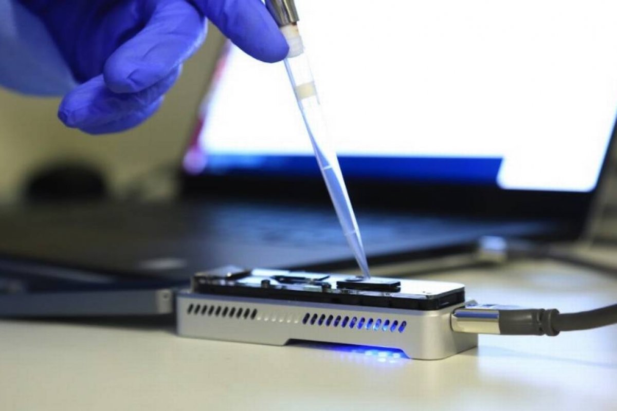 Estudo mostra que vacina polivalente protegeu macacos de diversas variantes da Covid