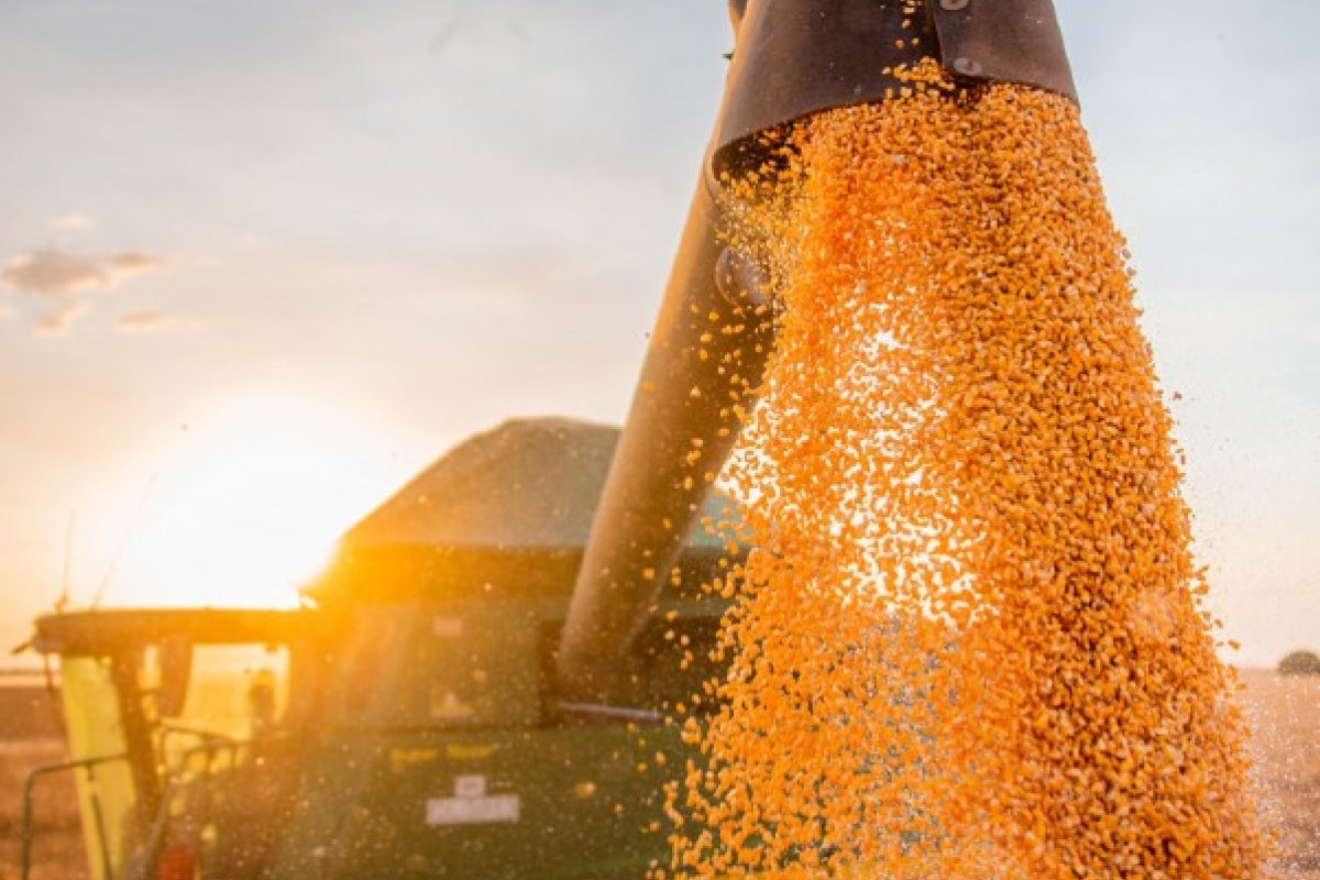 Produção de grãos cresce 5,7% e chega a 271,7 milhões de toneladas