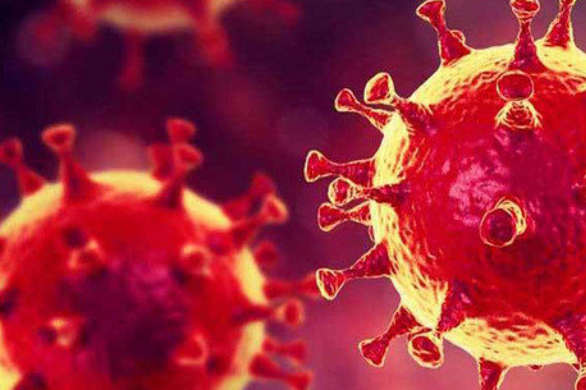 Pesquisa dos EUA aponta que 2% dos infectados com Covid-19 concentram 90% da carga viral da doença