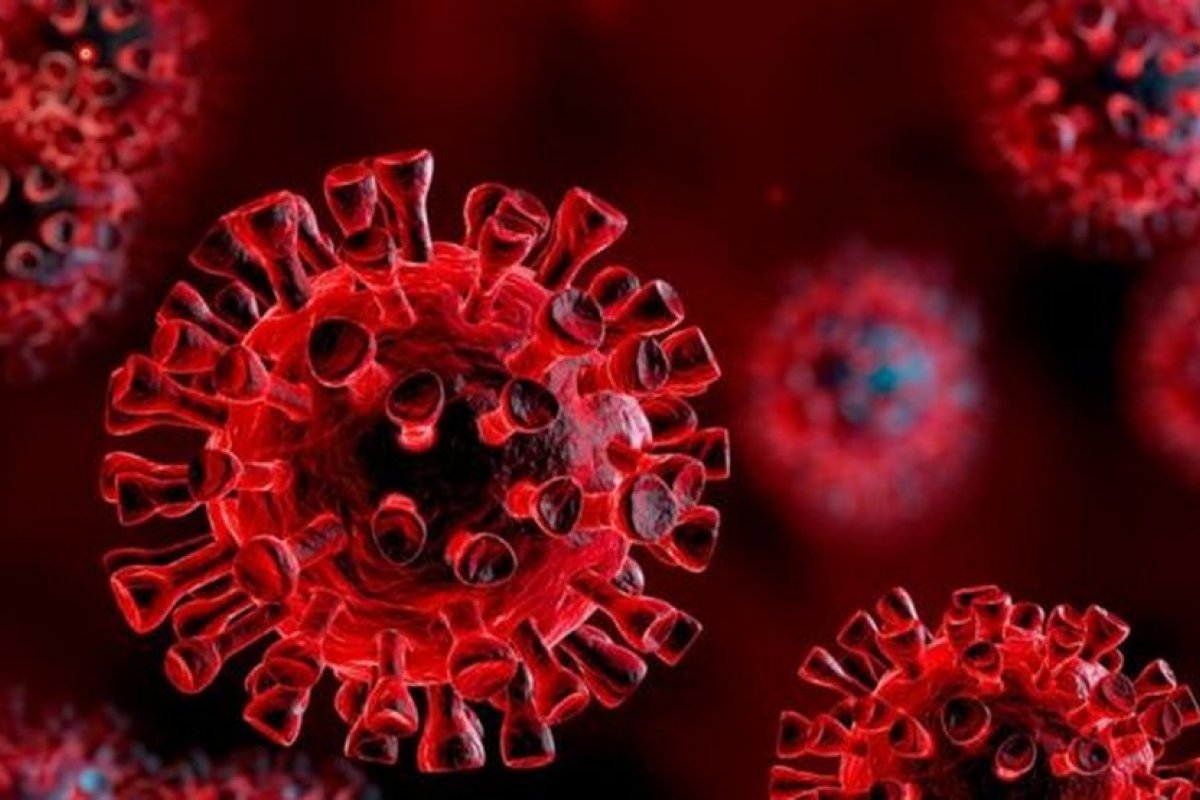 Estudos apontam que perfil genético tornam algumas pessoas mais suscetível à covid-19