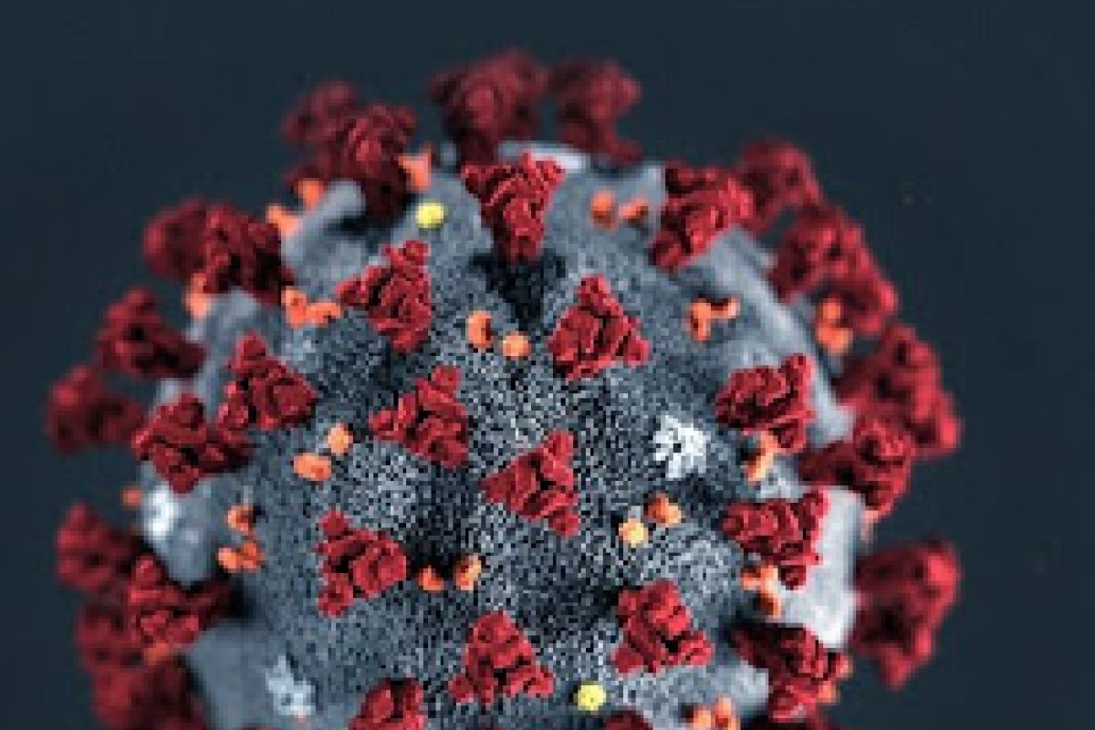 Bahia registra 4.043 novos casos de Covid-19 nas últimas 24 horas