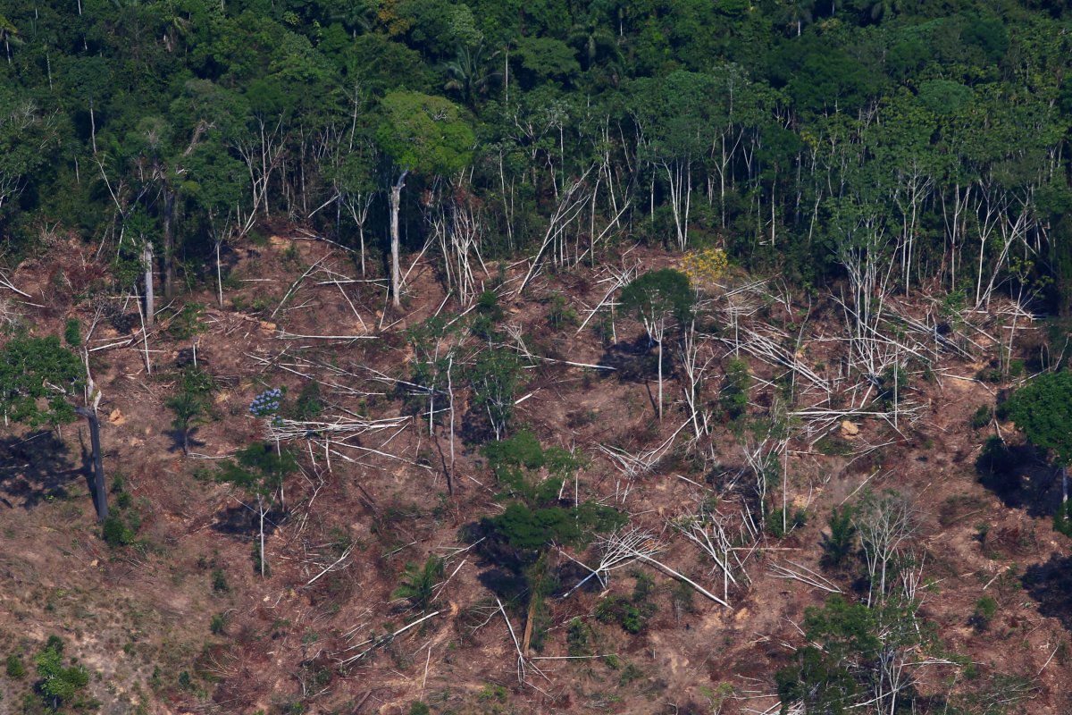 Cadastro Ambiental Rural tem 56% mais registros irregulares do que há dois anos, diz levantamento
