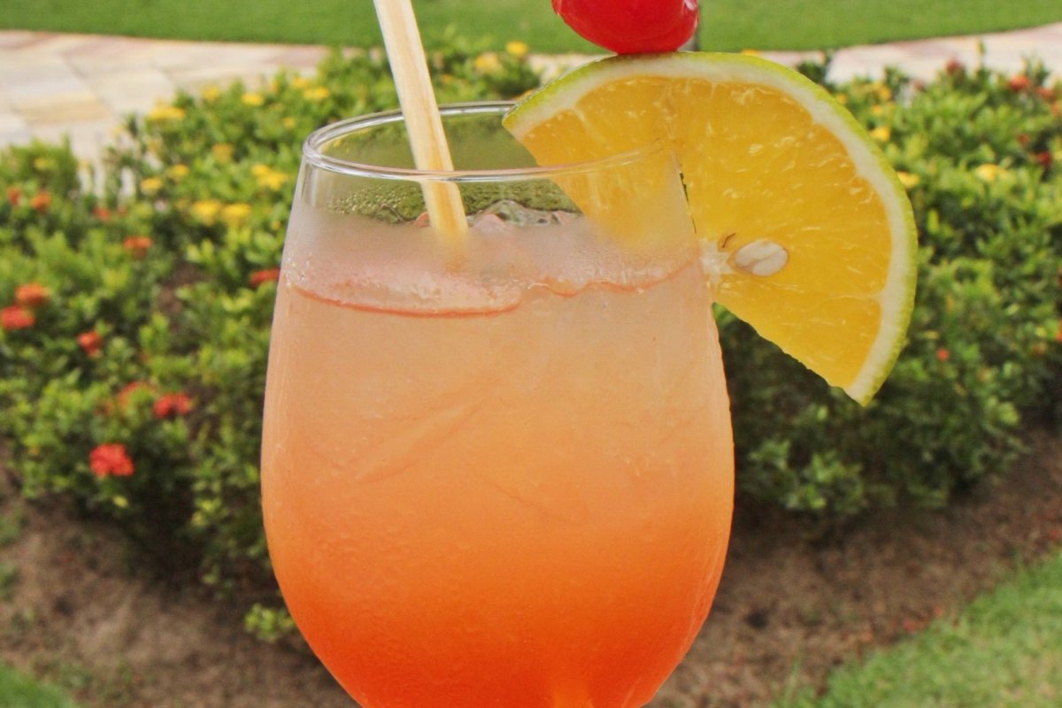 Dia do Cocktail: 8 receitas de drinks para se aventurar pela coquetelaria em casa!