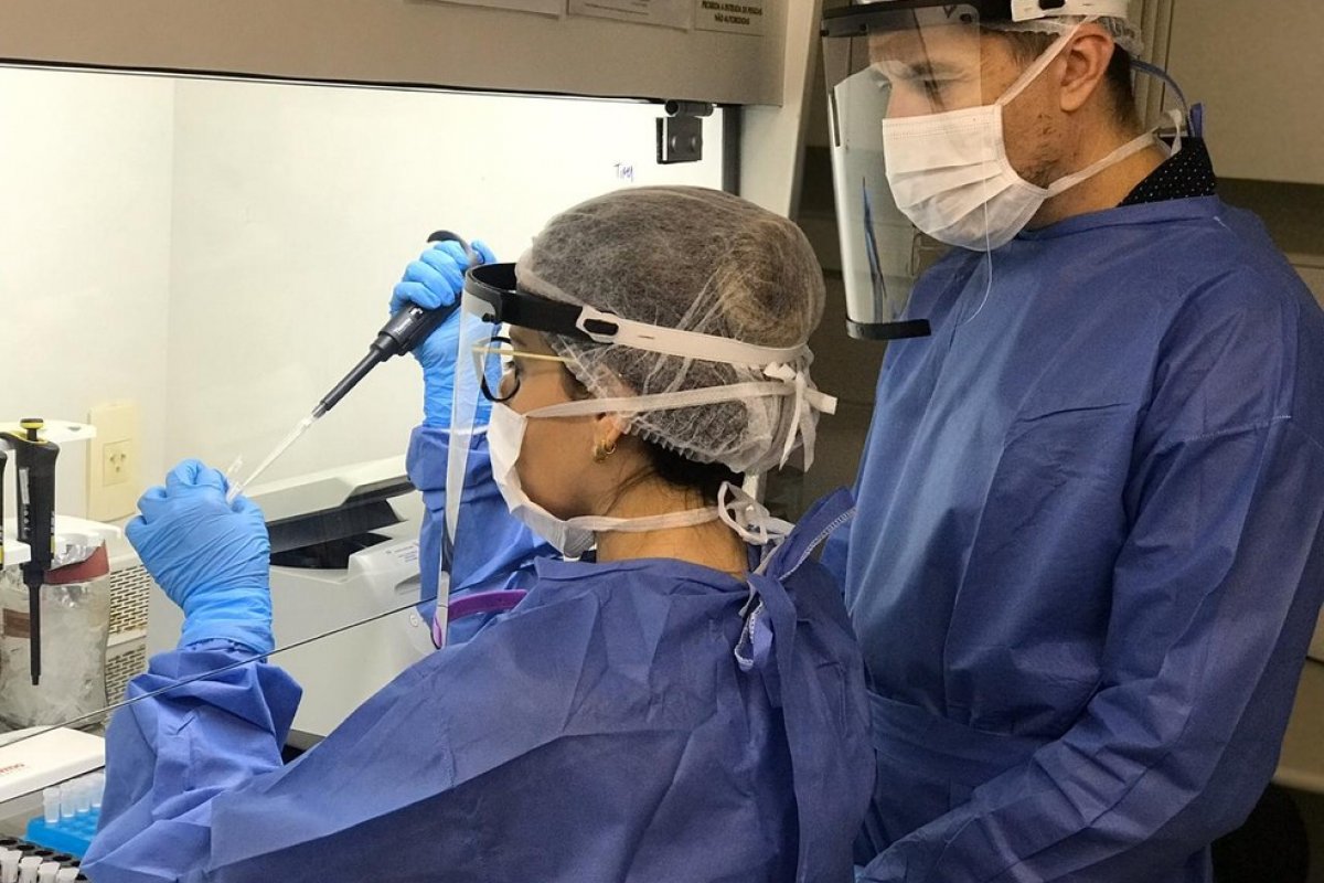 Nova terapia antiviral reduz o covid-19 em 99,9%; os testes foram feitos em animais