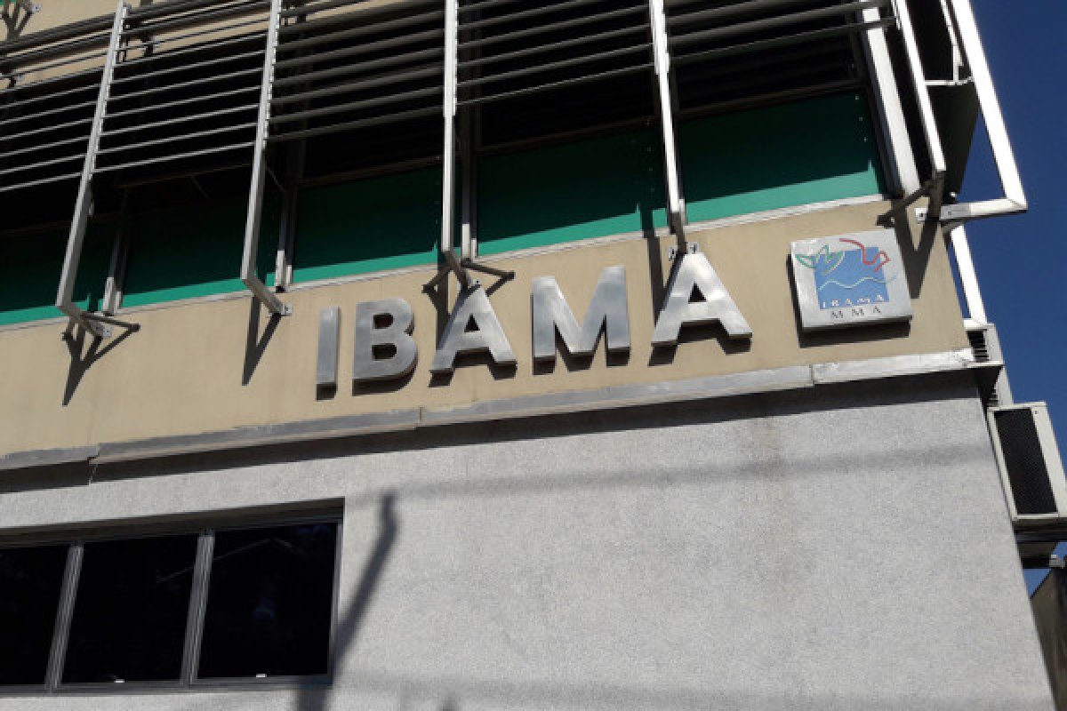 Ibama perdeu 58,7% dos servidores em 20 anos, e tem o menor quadro desde 2001