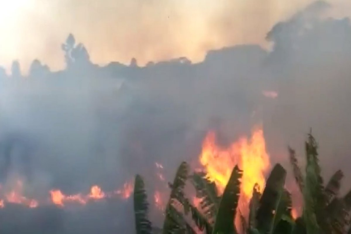 Incêndios atingem áreas de vegetação em Vitória da Conquista, na Bahia