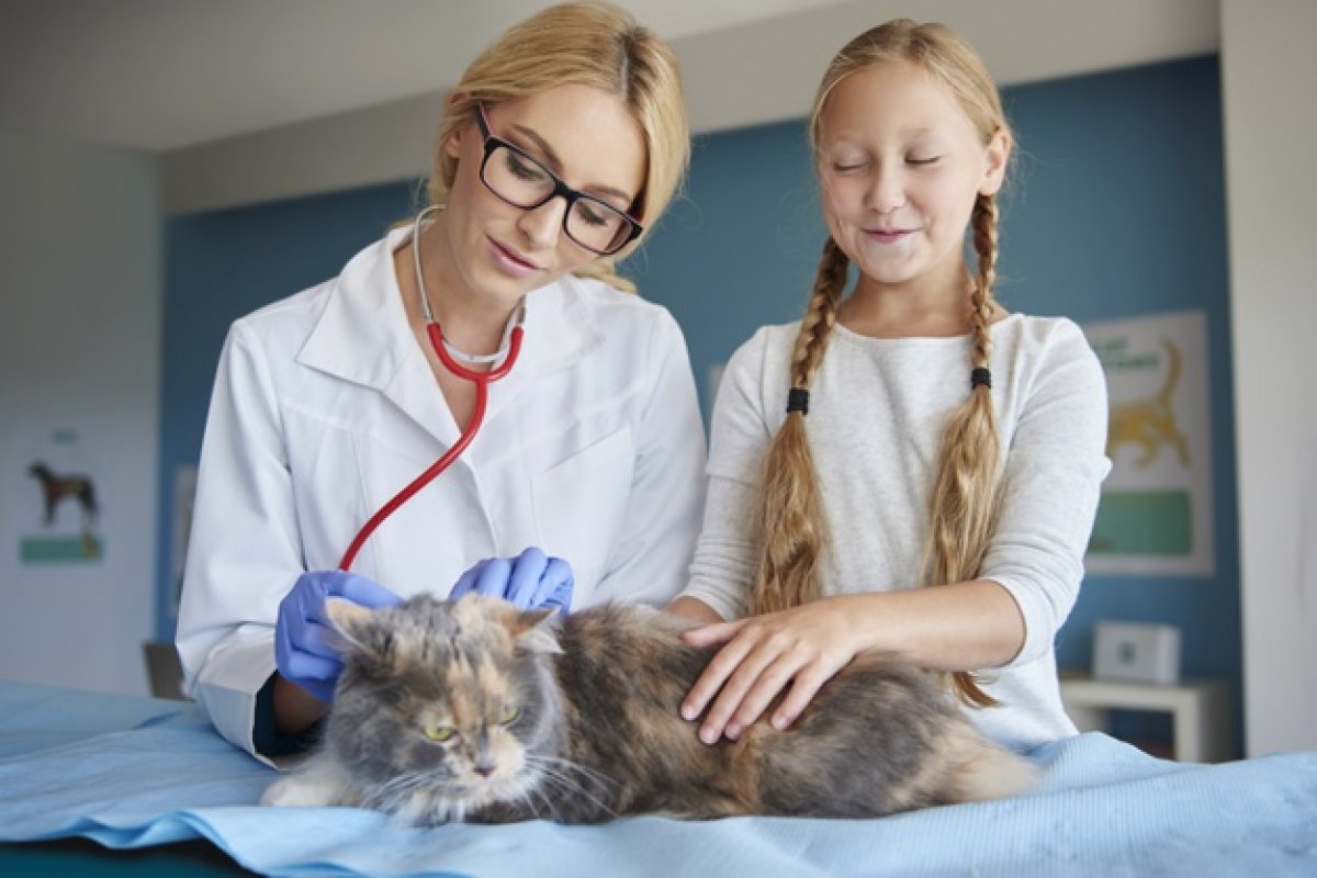 Médicos veterinários doam cestas de café da manhã para vacinadores com produtos inspecionados pela categoria