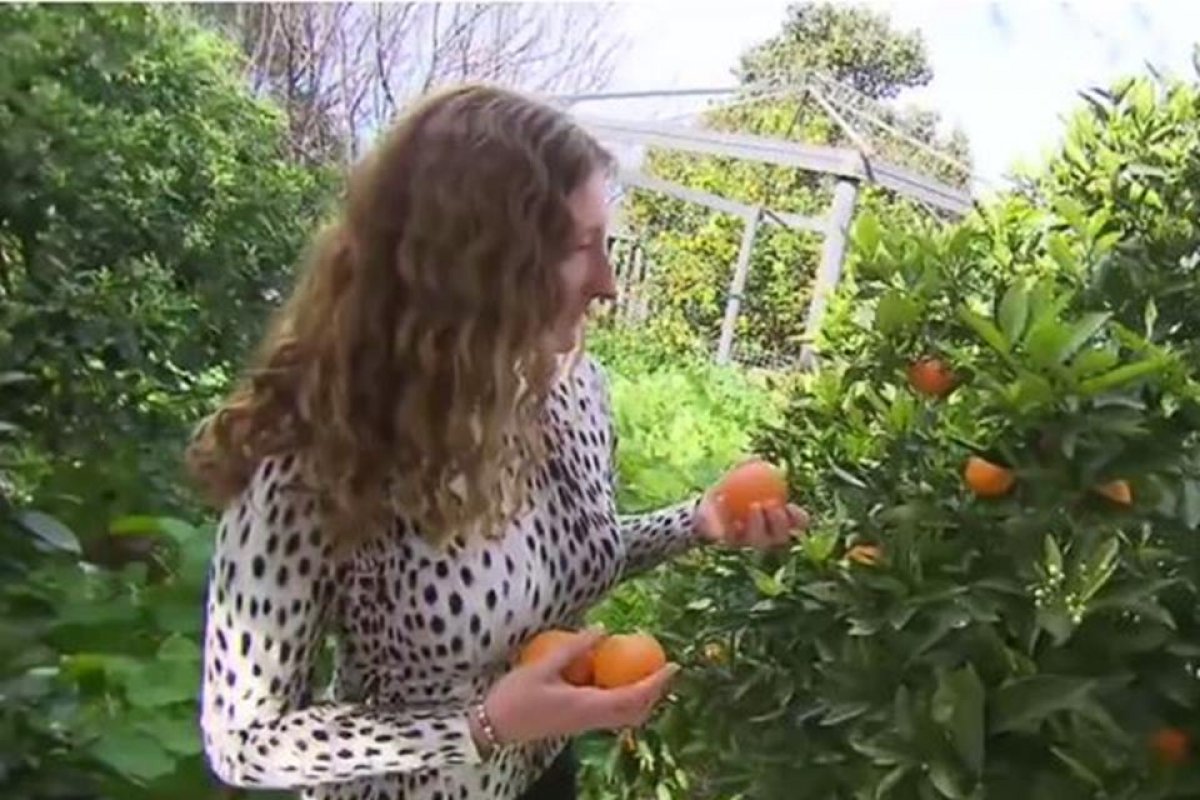 Vegana processa vizinho porque cheiro de churrasco a “ofende”