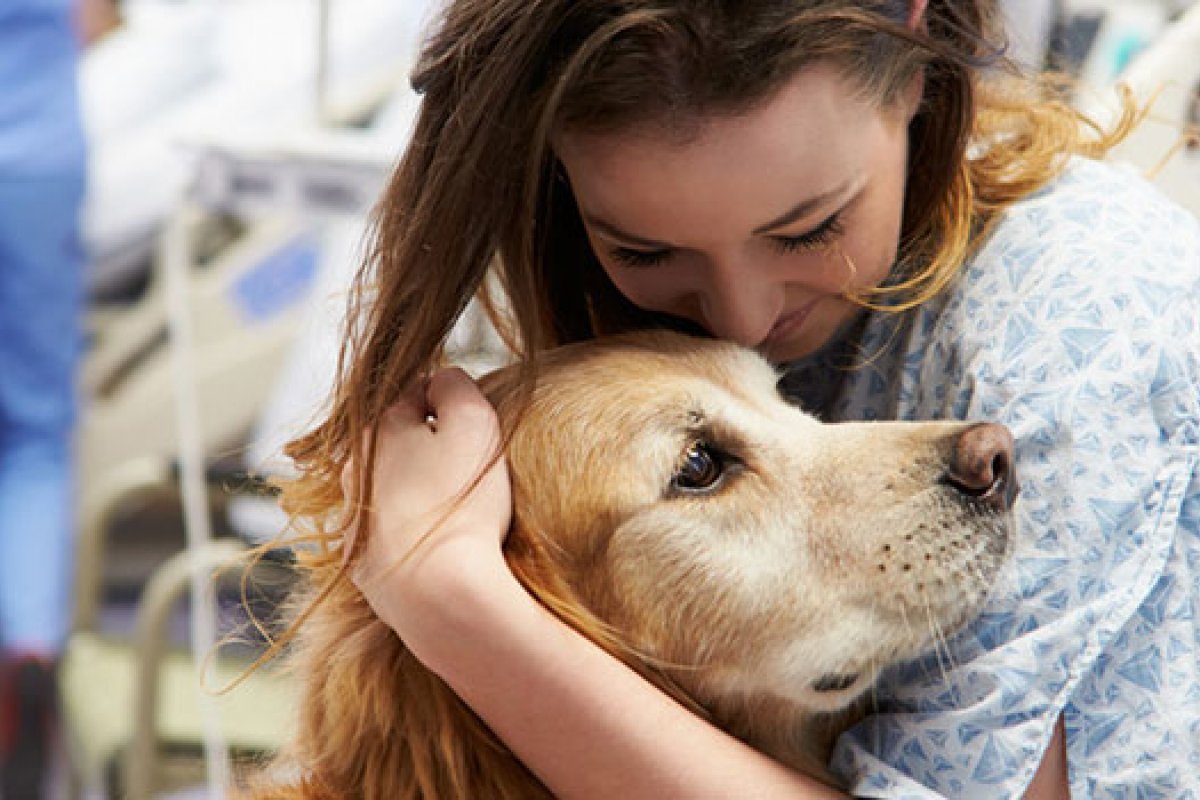 Conheça os benefícios da Terapia Assistida por Animais (TAA) para pacientes hospitalizados