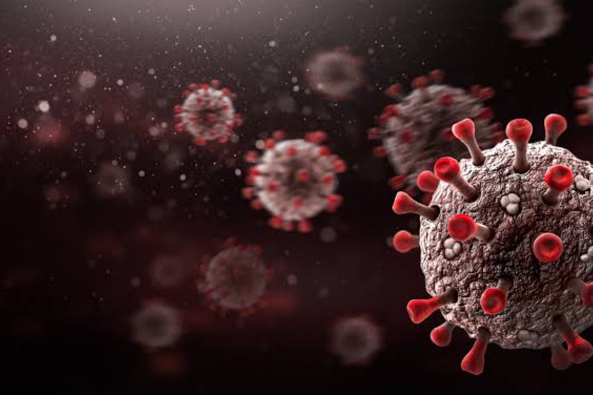 Covid-19: Bahia registra 83 novas mortes, sendo uma em 24h