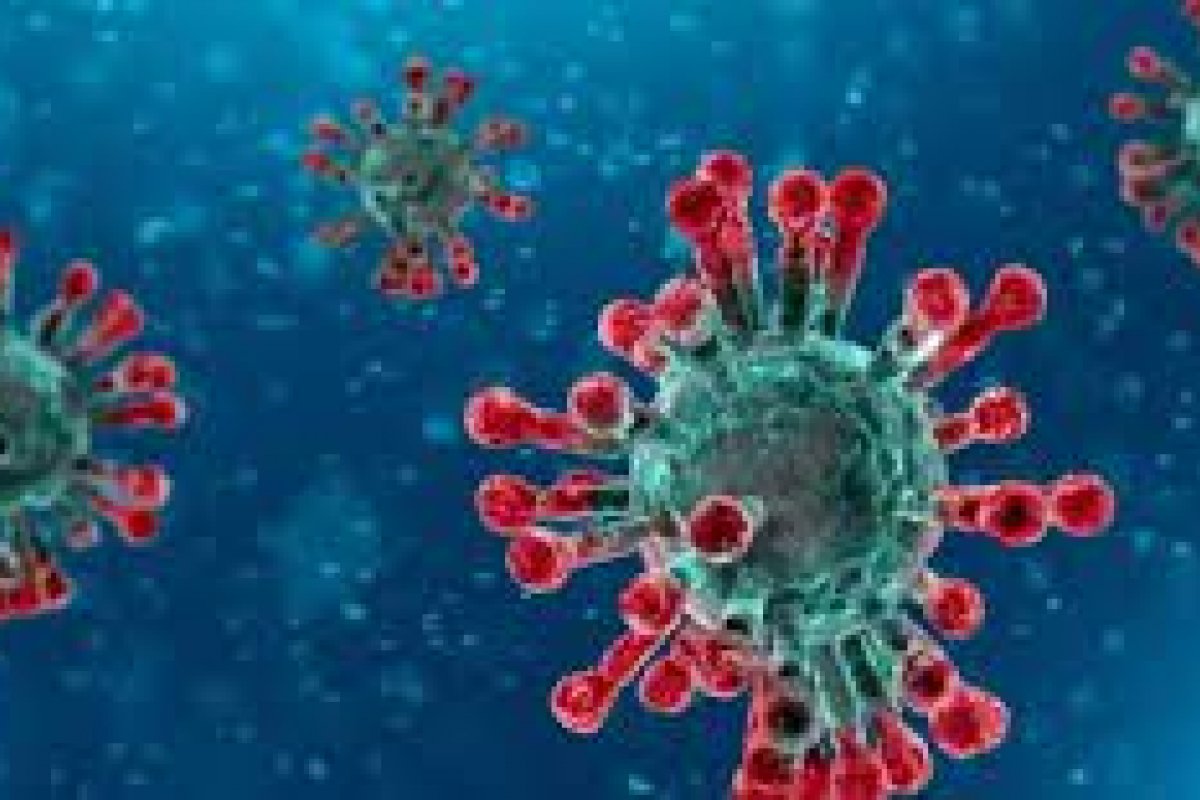 Novos dados sobre pesquisadores de Wuhan aumentam debate sobre origens da Covid-19