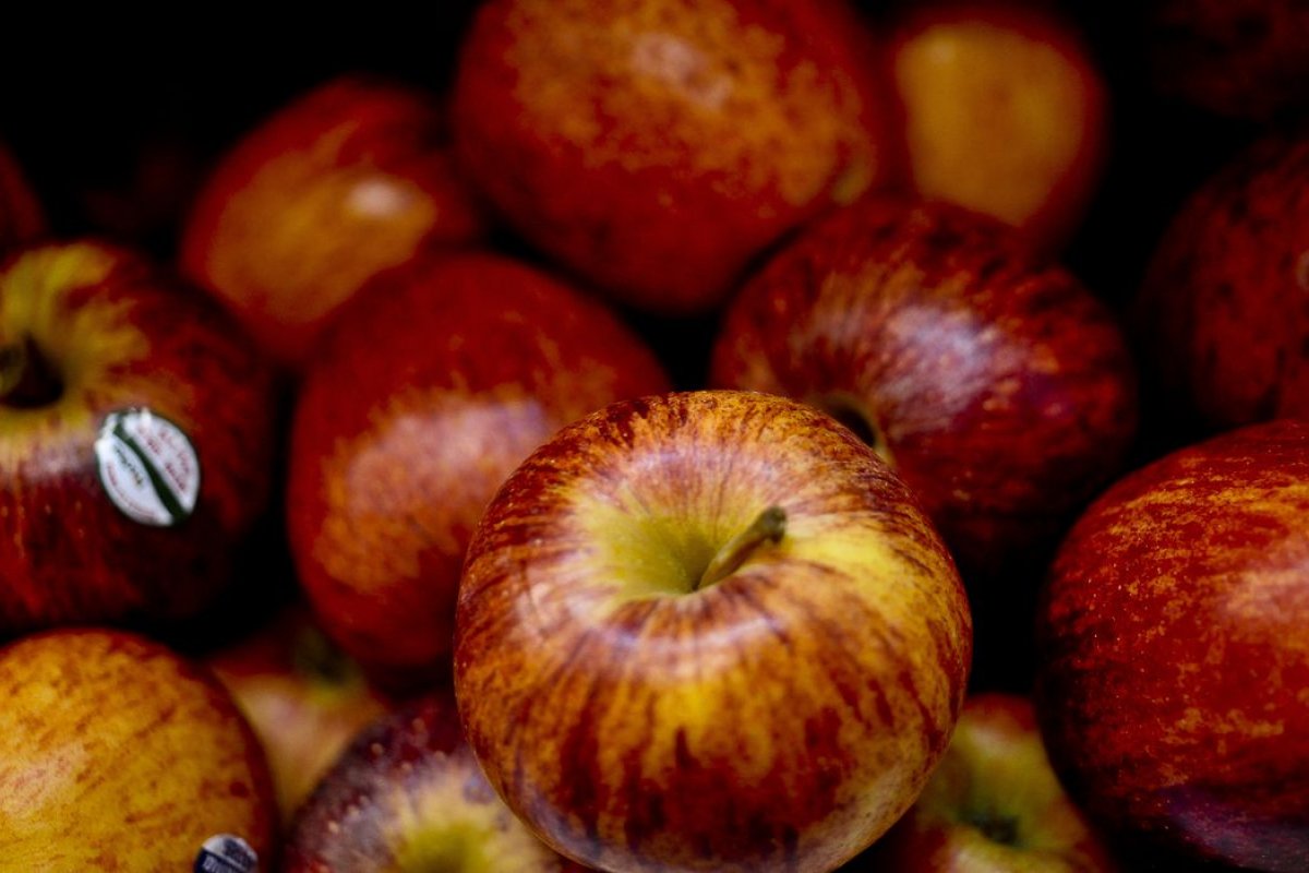 Exportação de frutas registra alta de mais de 20% no primeiro quadrimestre de 2021