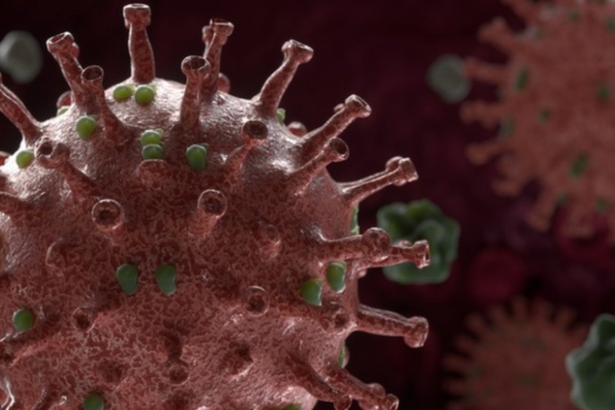 Covid-19: Bahia confirma mais 71 mortes, sendo seis em 24h