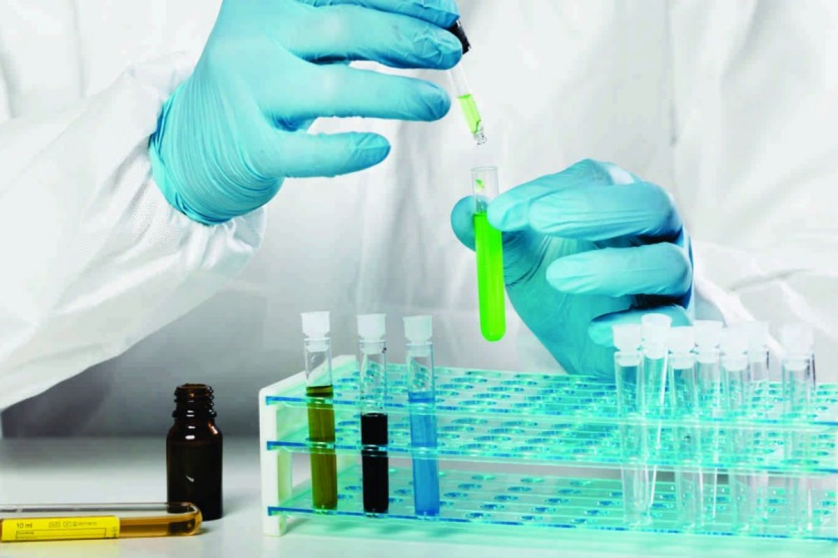 Governo lança campanha de coleta de DNA para identificação de desaparecidos