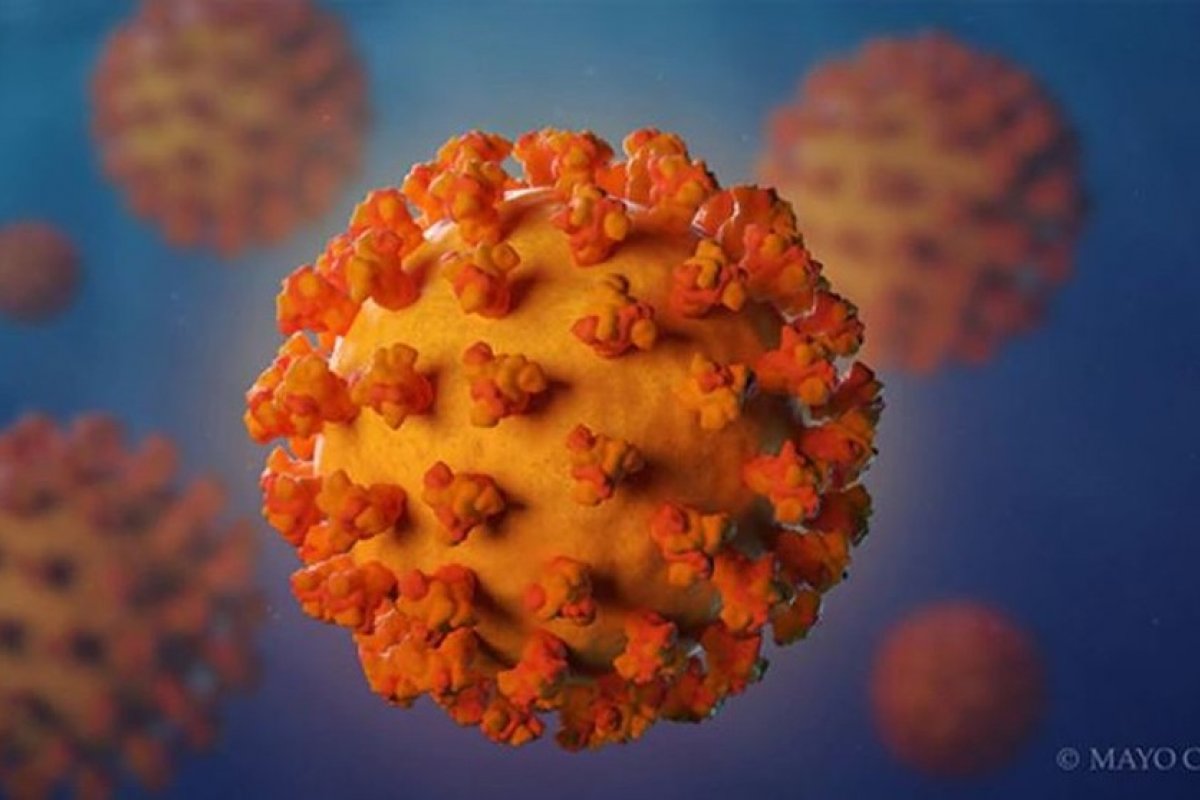 OMS: Variante indiana já foi detectada em ao menos 53 países e territórios